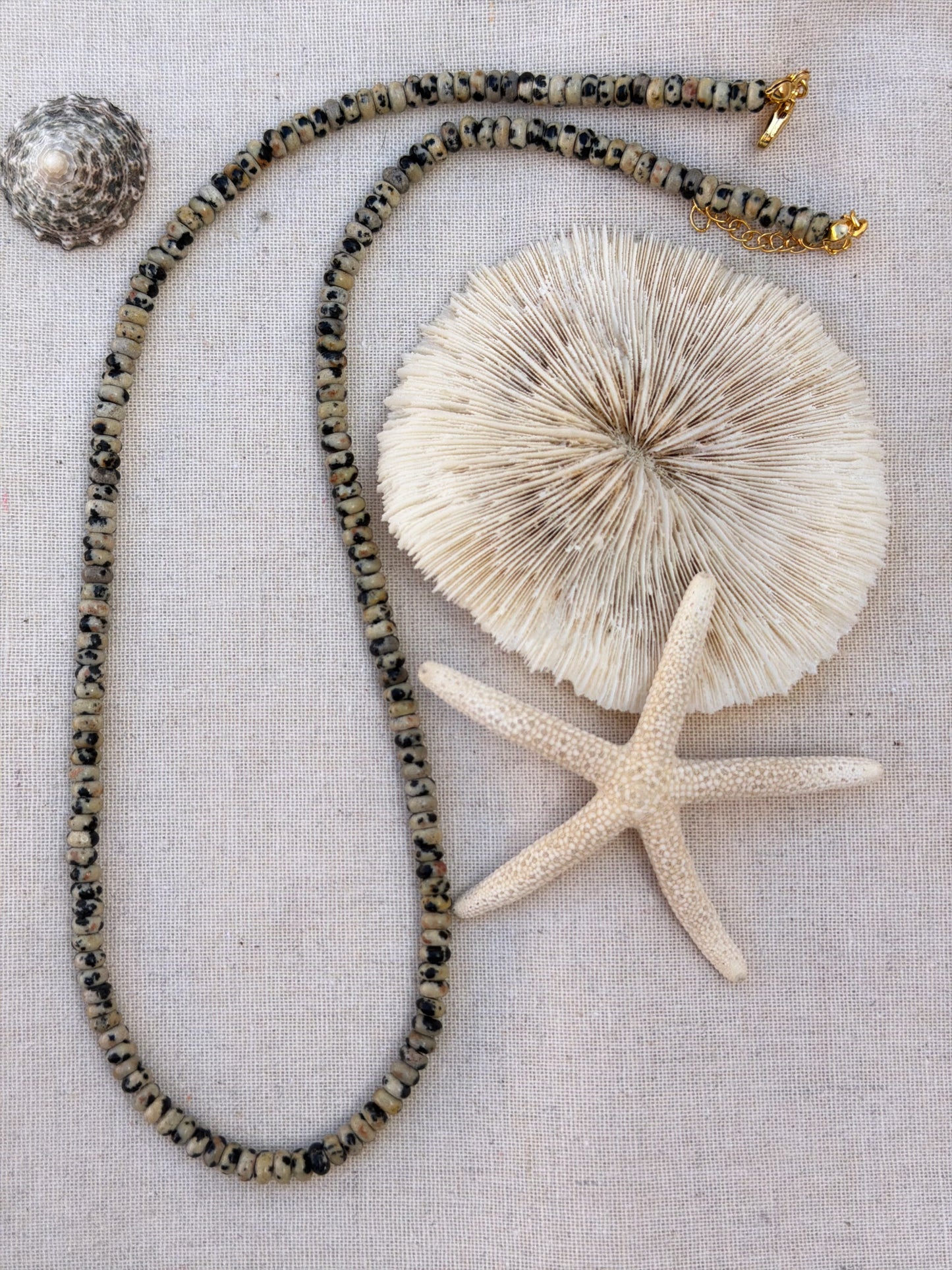 Dalmatian Jasper Necklace